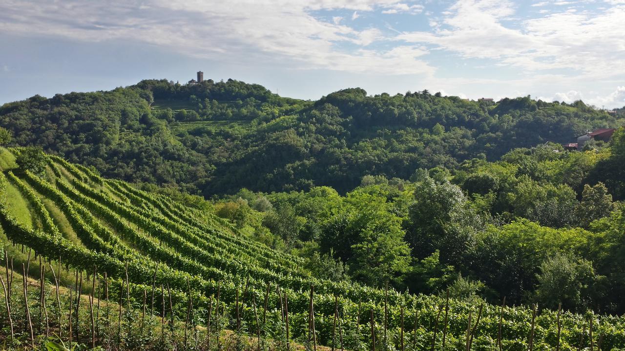 Valentina Guest House At Pintar Wine Estate Kojsko Экстерьер фото