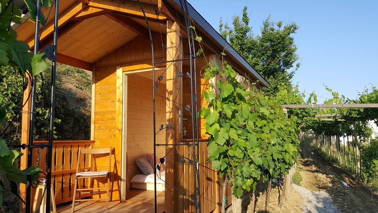 Valentina Guest House At Pintar Wine Estate Kojsko Экстерьер фото